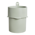 bouncy basil leaf green